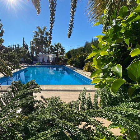 Vacaciones La Marina Costa Blanca Villa Eksteriør billede