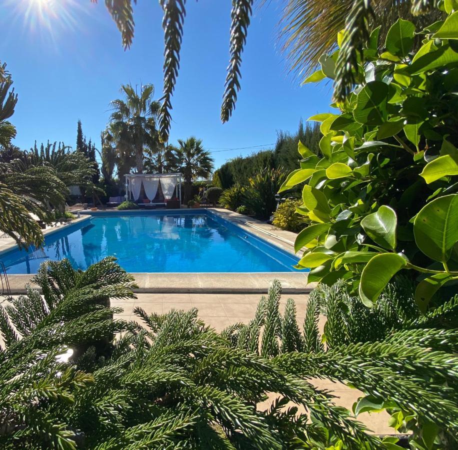 Vacaciones La Marina Costa Blanca Villa Eksteriør billede